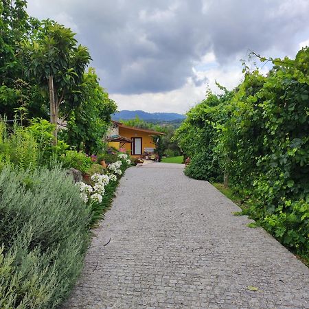 Casa Matreiro Villa Prozelo Bagian luar foto