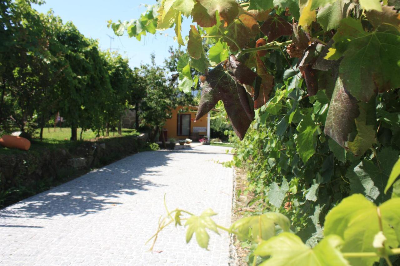 Casa Matreiro Villa Prozelo Bagian luar foto