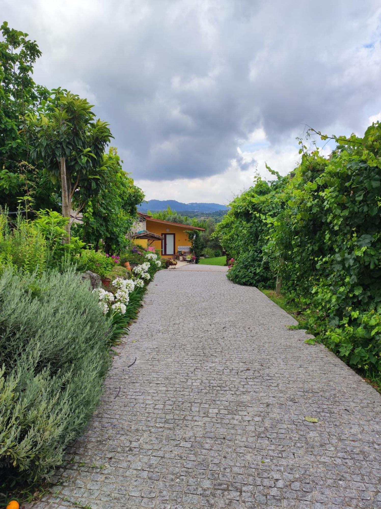 Casa Matreiro Villa Prozelo Bagian luar foto